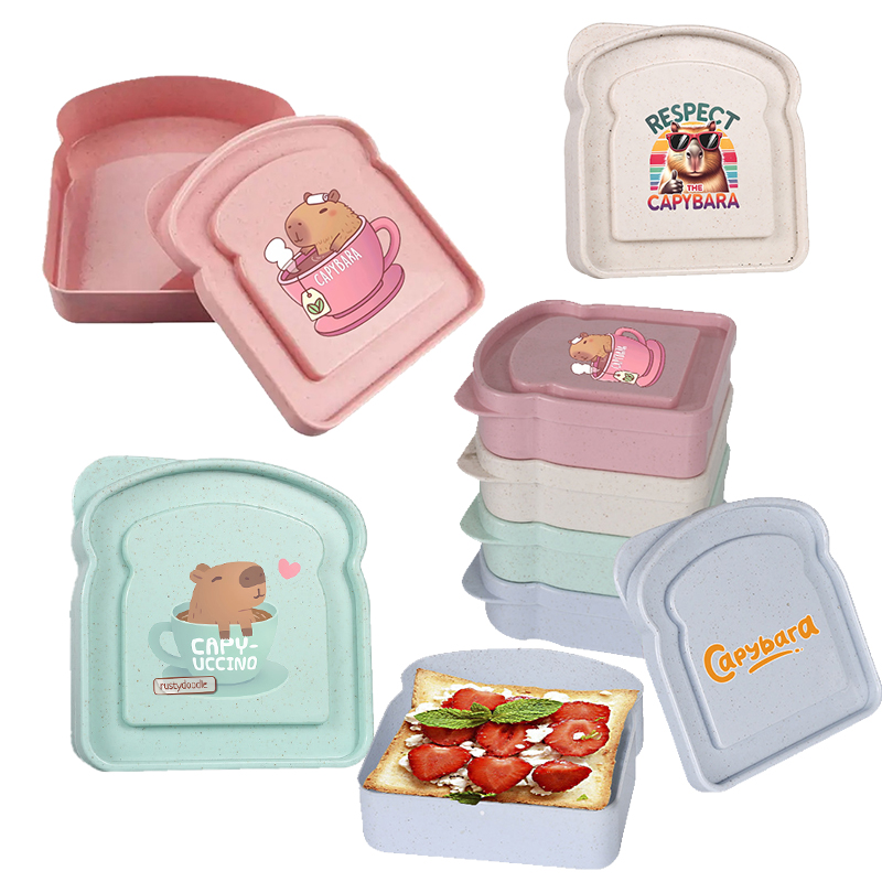 카피바라 샌드위치 음식 보관 케이스 컨테이너 샐러드 과 - Home Cooking Food 리뷰 및 가격