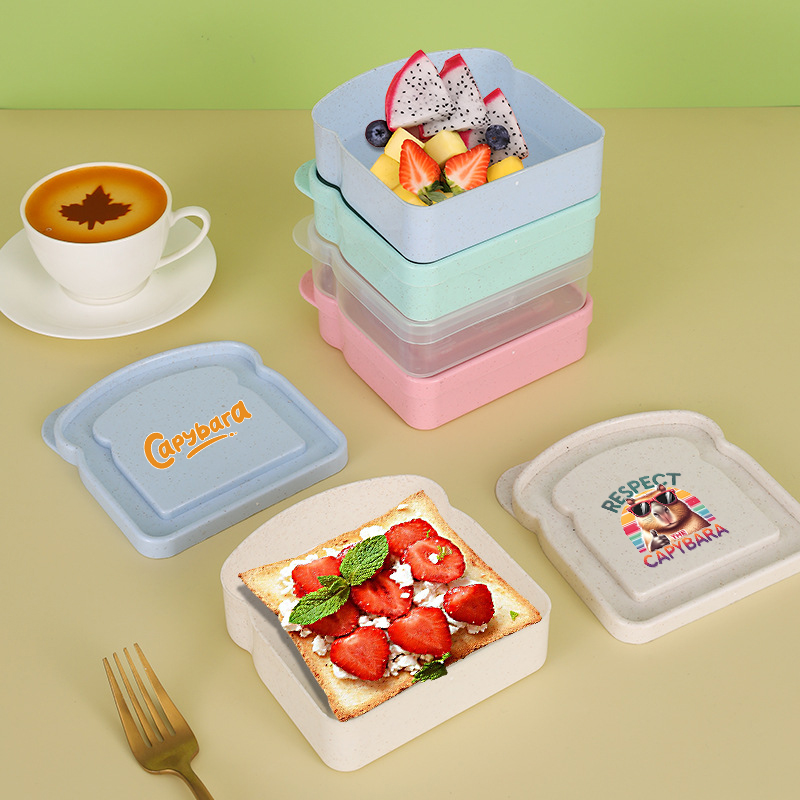카피바라 샌드위치 음식 보관 케이스 컨테이너 샐러드 과 - Home Cooking Food 리뷰 및 가격